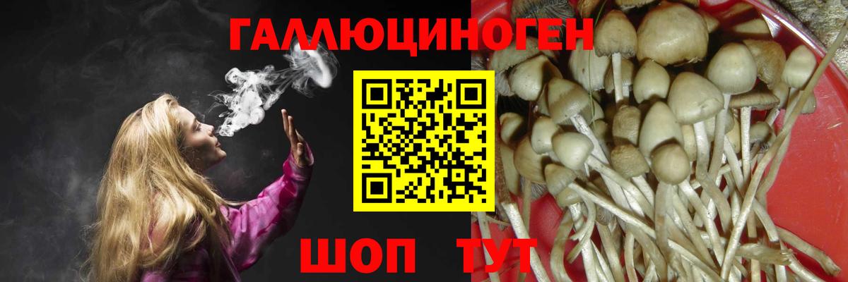 Галлюциногенные грибы прущие грибы Бугуруслан